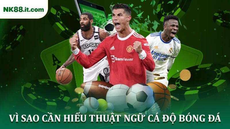 Vì sao cần hiểu Thuật ngữ cá độ bóng đá ngày nay?