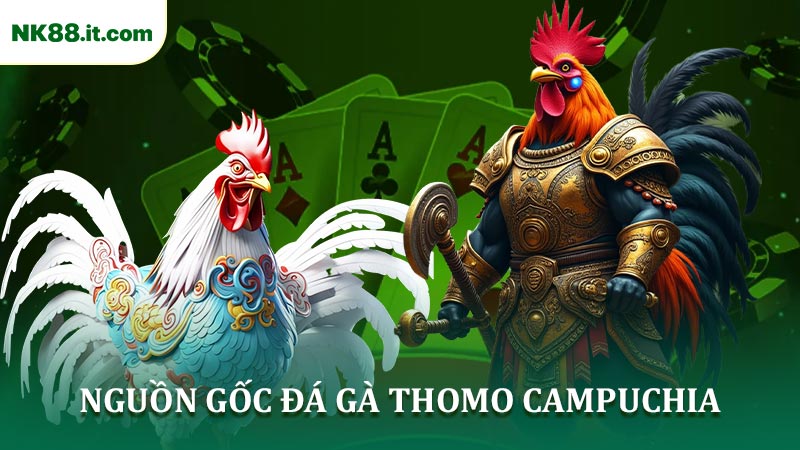 Nguồn gốc đá gà Thomo Campuchia