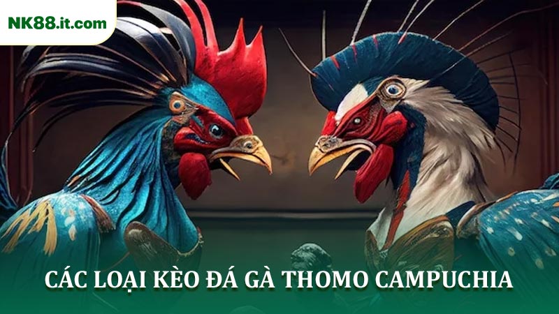 Các loại kèo đá gà Thomo Campuchia đa dạng