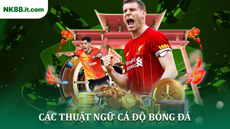 Các Thuật Ngữ Cá Độ Bóng Đá Cơ Bản NK88 Bạn Nên Biết