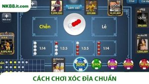 Cách Chơi Xóc Đĩa Chuẩn Dễ Hiểu Dành Cho Người Mới